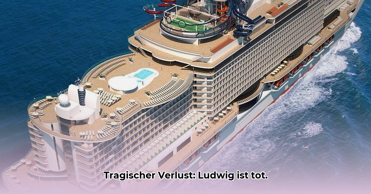 msc-triptis-unfall-ludwig